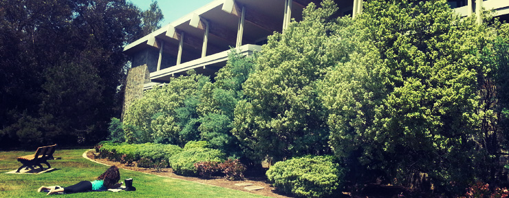 front of library