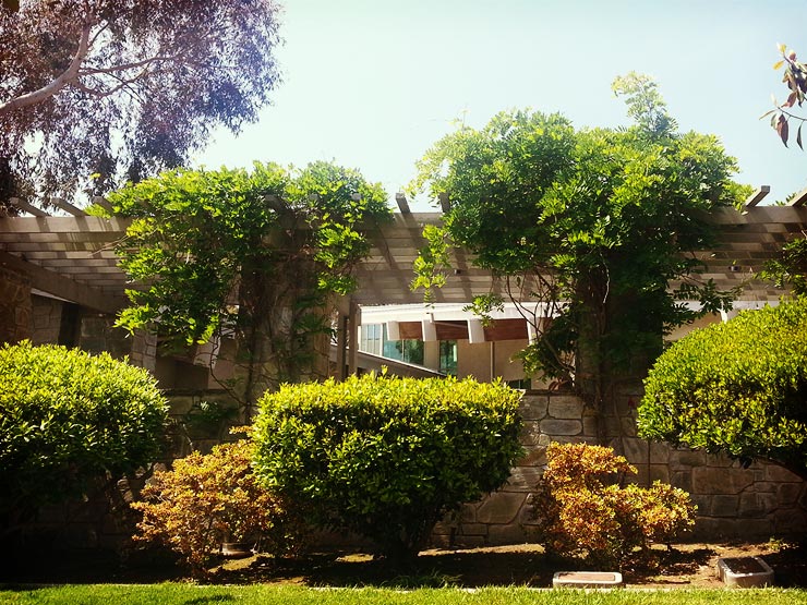 front of library